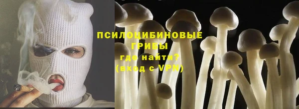 apvp Богданович