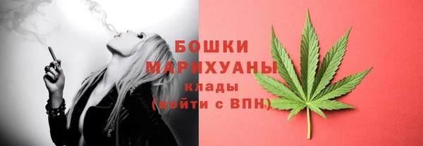 спайс Богородск