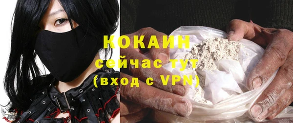 apvp Богданович