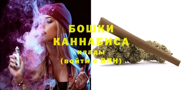 apvp Богданович